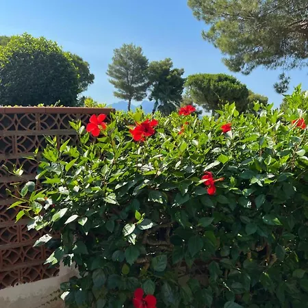 Villa Pilot * Scalea
