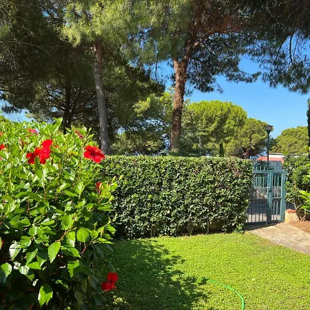 Villa Villa Pilot Scalea
